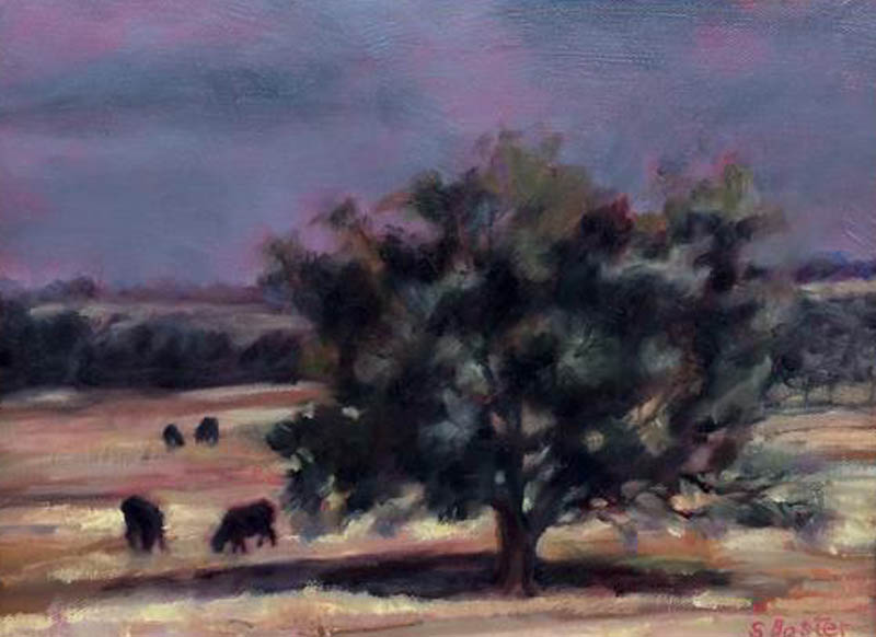 Cattle in the Hill Country Steve Boster MD Angus Cattle in the Hill Country 9x12 oil