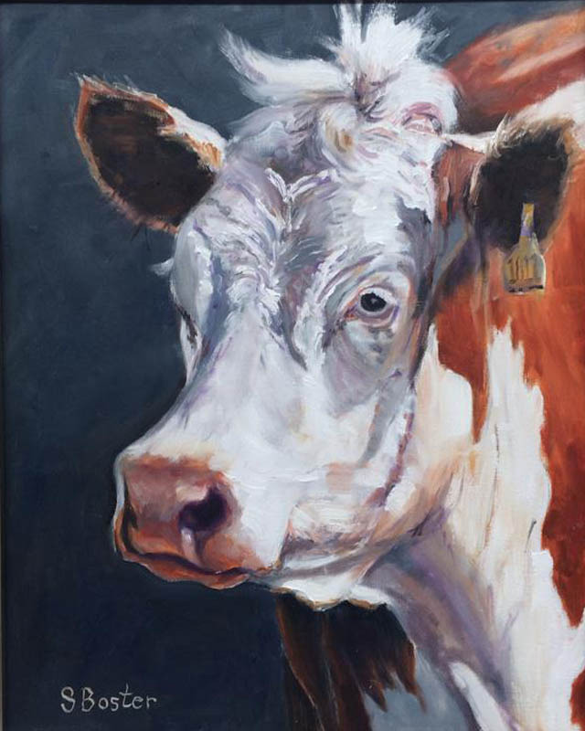 Cow-16x20 oil Steve Boster MD -Herford Cow SOld