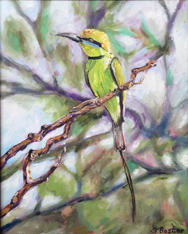 Green Bee-Eater-8x12 oil. Steve Boster MD Green Bee Eater Sold
