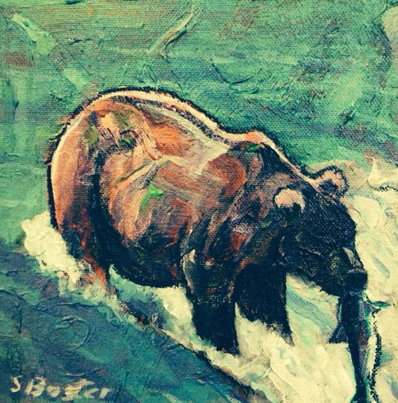 Grizzly bear  Steve Boster MD Grizzly Bear Feeding 8x8 acrylic Sold