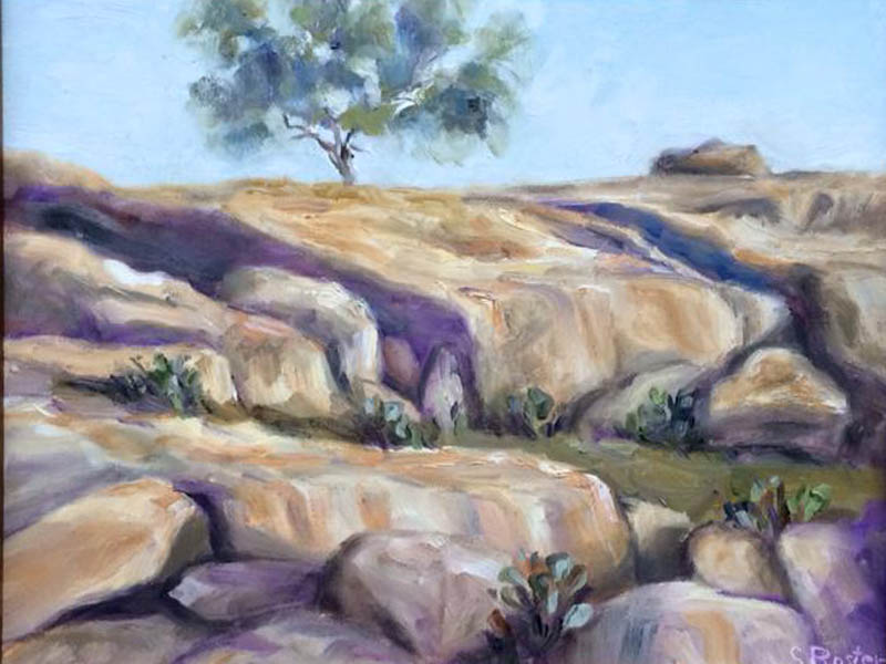 Mesquite On A Granite Hill