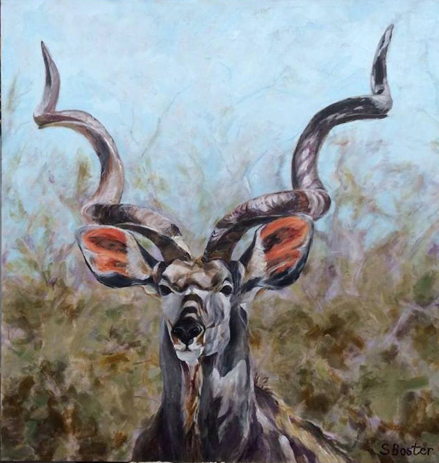 Kudu bull Steve Boster MD Kudu In The Shadows 36x36 acrylic
