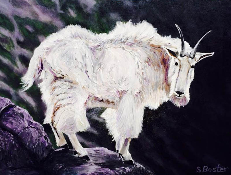 Mountain Goat 20x24 acrylic Steve Boster MD King Of This Moutain Sold