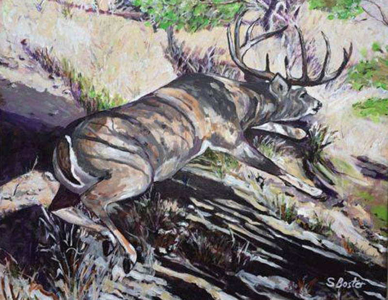 Whitetail Buck photoed during helicopter deer count Steve Boster MD Helicopter Deer 24x30 acrylic Sold