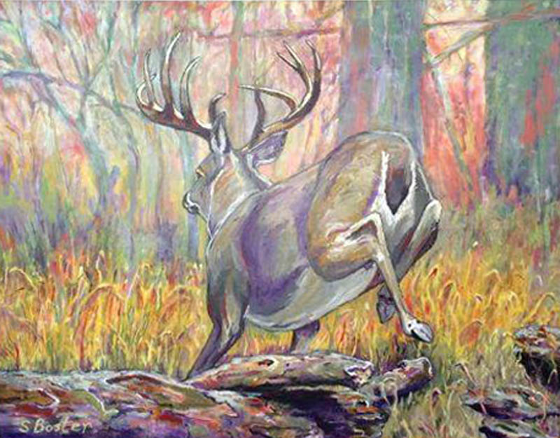 Whitetail buck Steve Boster MD I Am Out Of Here 24x36 acrylic