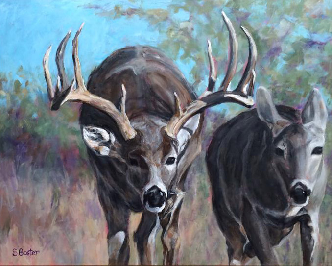 Whitetail buck and doe during rut Steve Boster MD I am in Love 24x36 acrylic
