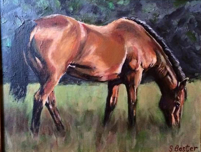 horse-9x12 acrylic-Steve Boster MD -Leo-Sold