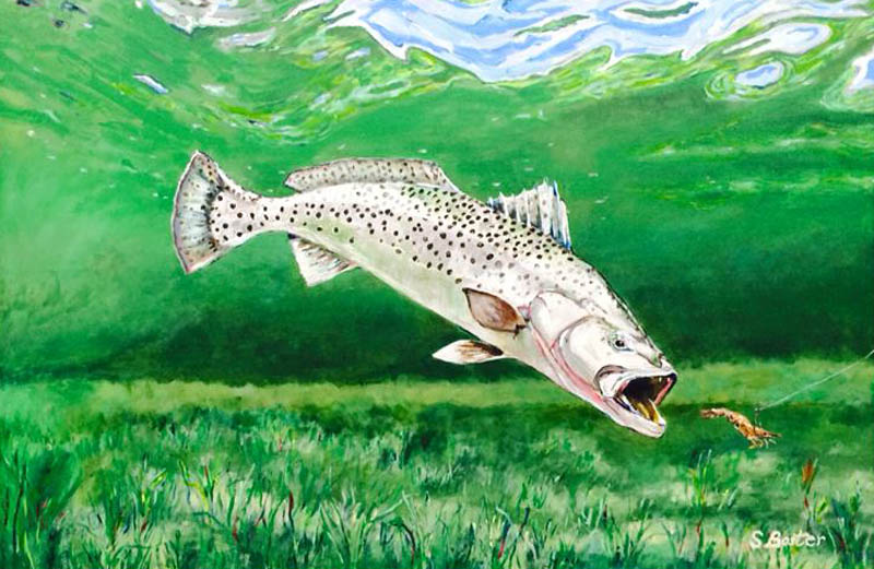 trout-24x36 acrylic-Steve Boster MD-Seger Summer Fun Sold