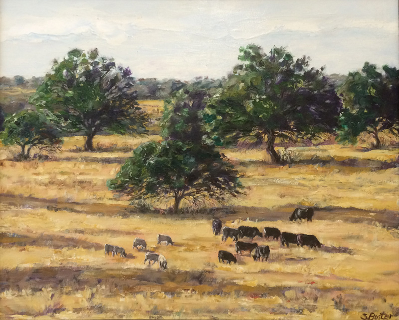 Cattle Texas Hill country 20 x24 acrylic We Have Plenty to Eat $800