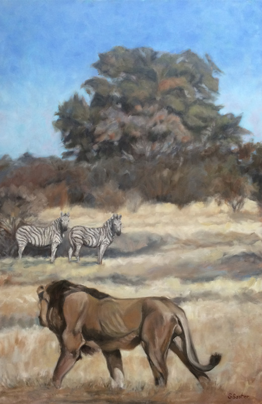 Lion and zebra in Botswana 24x36 oil  The King Courtesy of Marty Parker $1,700