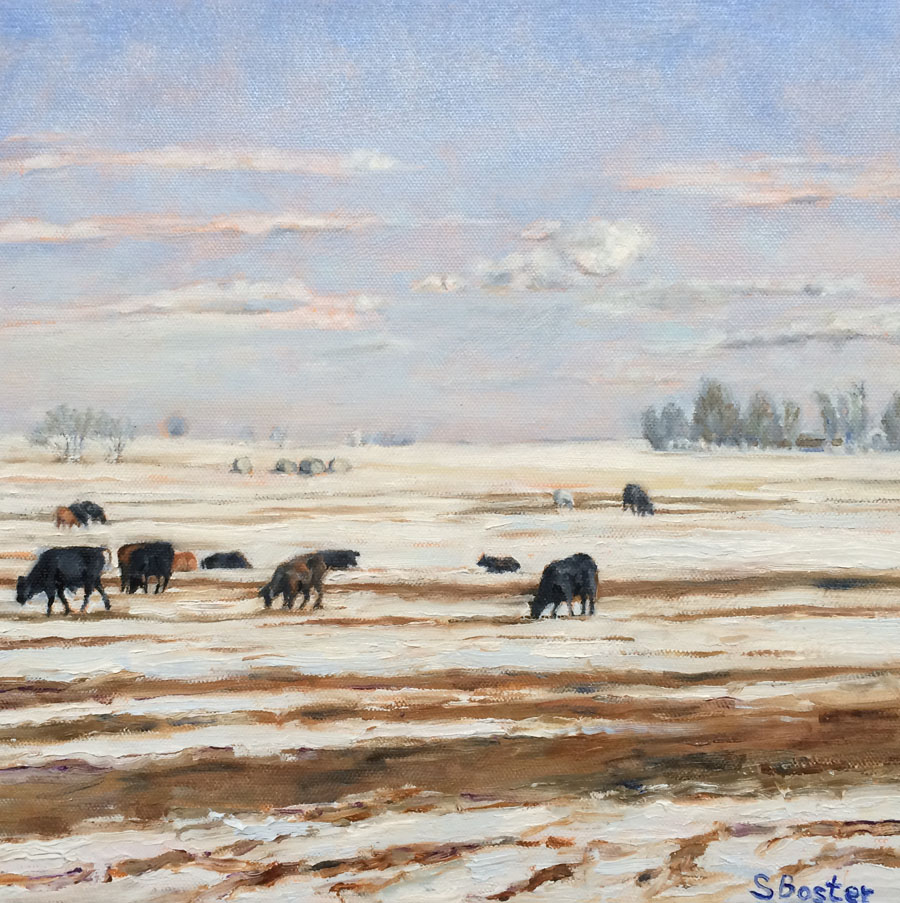 Texas Panhandle Cattle in Winter
