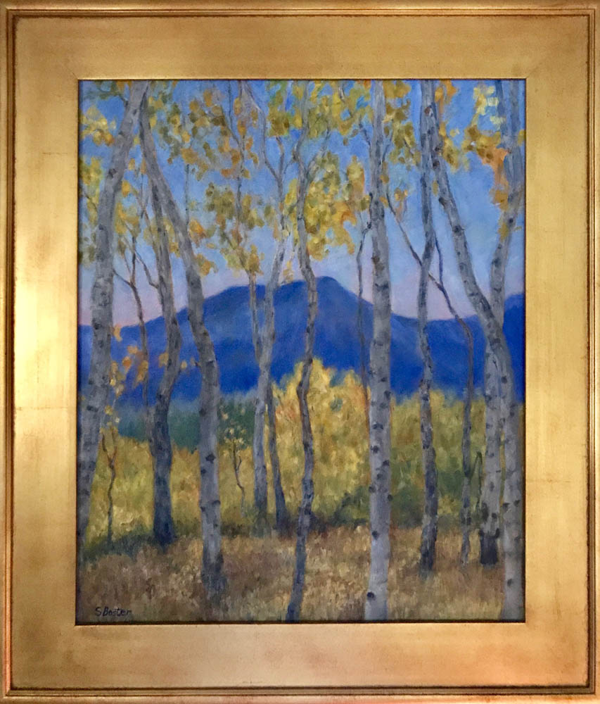 Aspens in the Shade