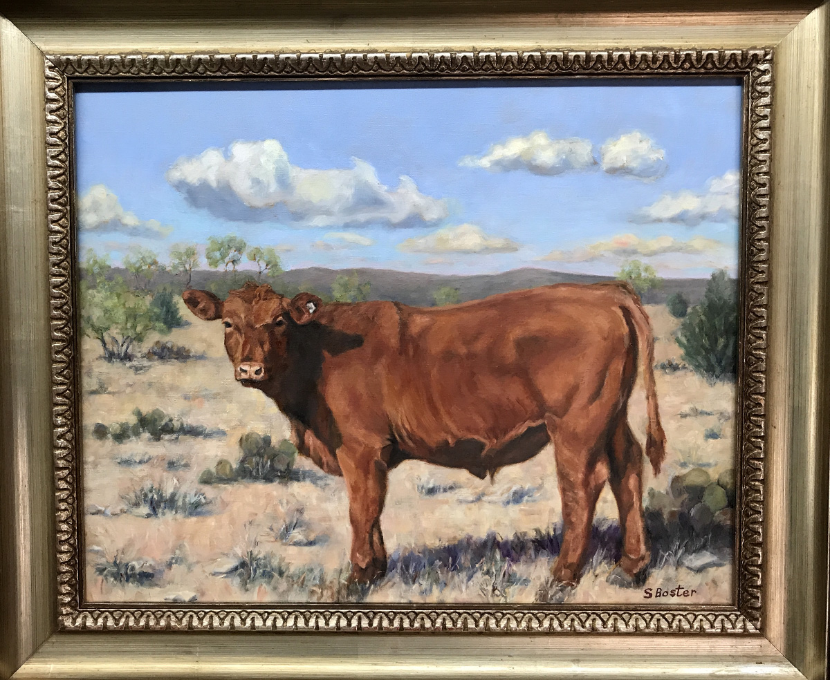 Red Angus in West Texas