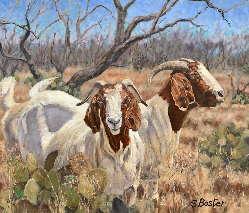 2 Boer Goats