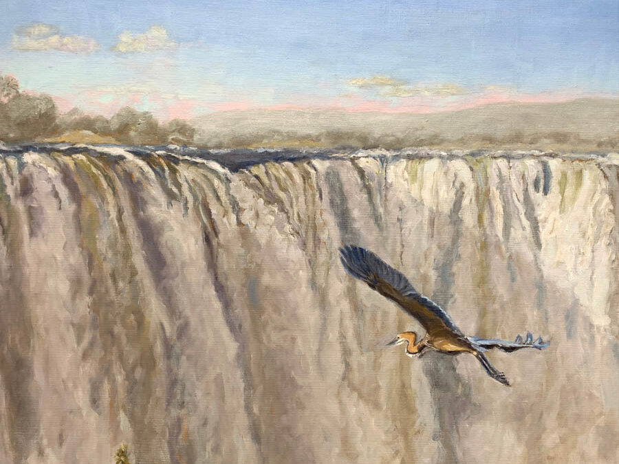 Goliath Heron flying upstream from Victoria Falls