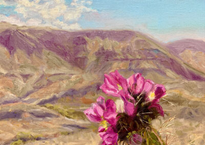 Springtime in Big Bend