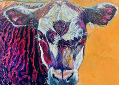 Cow of Many Colors #2