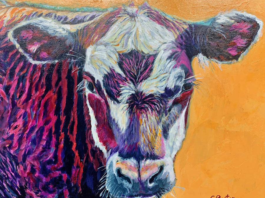 Cow of Many Colors #2