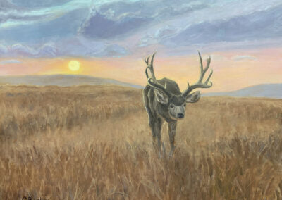 I Need A Lady Friend