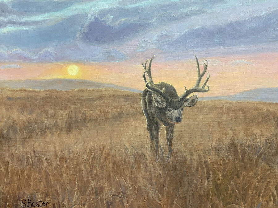 I Need A Lady Friend