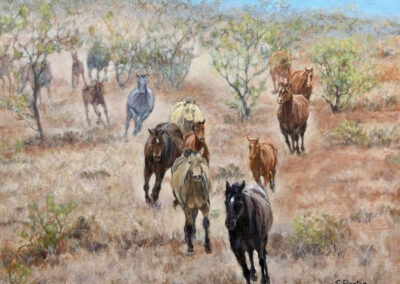 Red Dirt Stampede