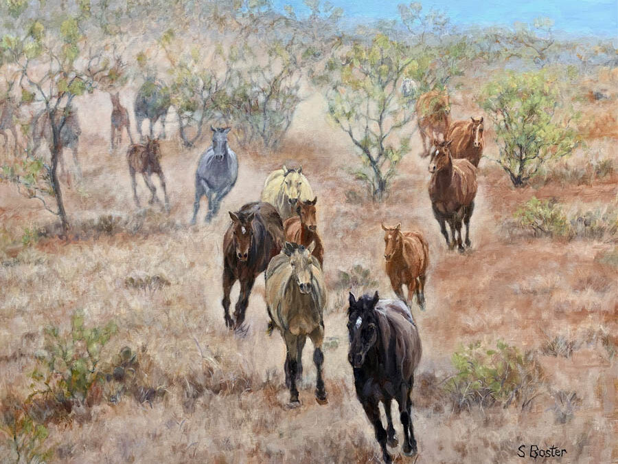 Red Dirt Stampede